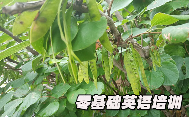 西安零基础学英语_方法_视频_软件