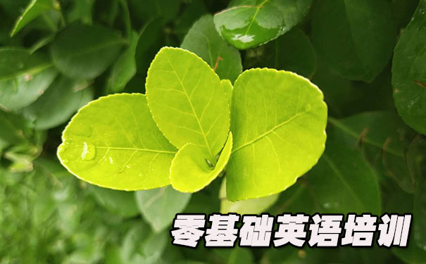 西安雁塔区零基础学英语_方法_视频_软件