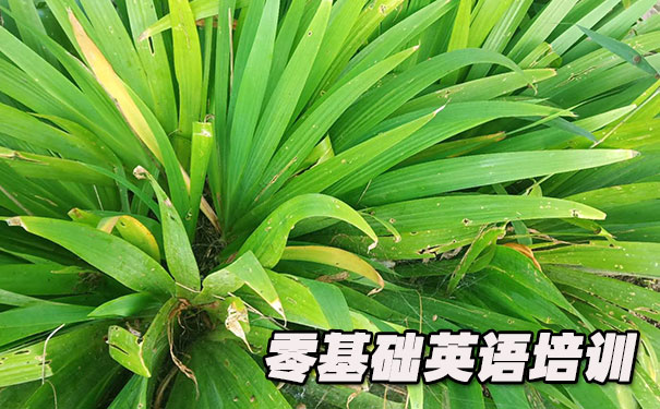 合肥瑶海区零基础学英语_方法_视频_软件