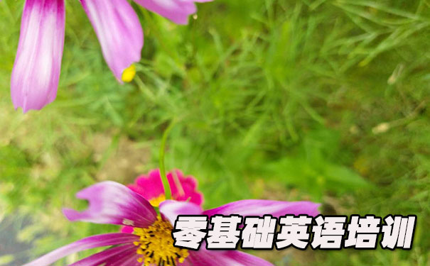 重庆南岸区零基础学英语_方法_视频_软件