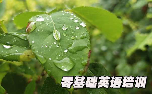 重庆沙坪坝区零基础学英语_方法_视频_软件