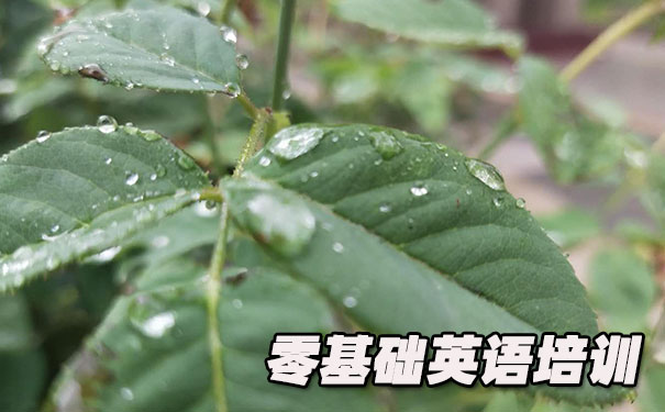 重庆观音桥零基础学英语_方法_视频_软件