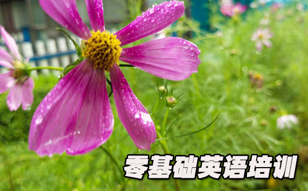 绵阳零基础学英语_方法_视频_软件
