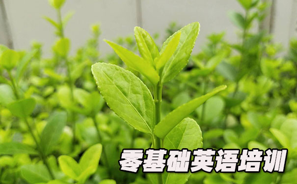 成都零基础学英语_方法_视频_软件 