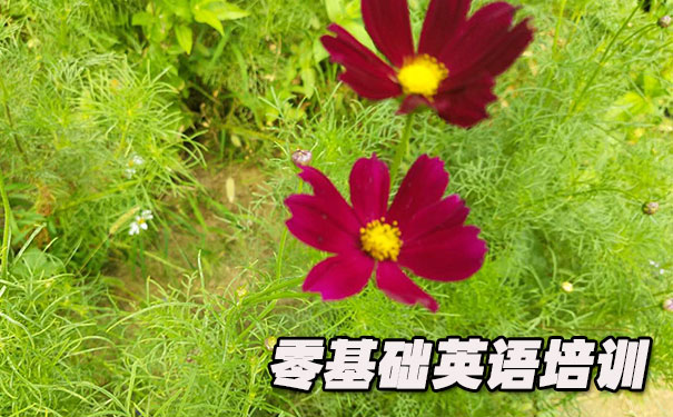 大连沙河口区零基础学英语_方法_视频_软件