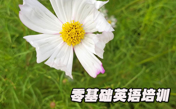 福州零基础学英语_方法_视频_软件
