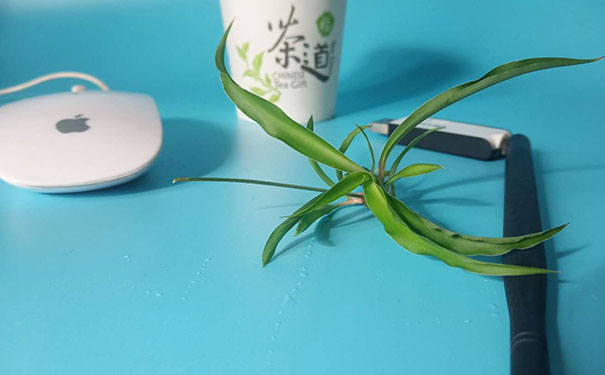 深圳南山区学UI设计_需要学多久,学费多少-天琥培训机构