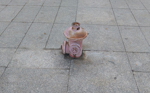 山东考消防证-报名报考条件-多少钱