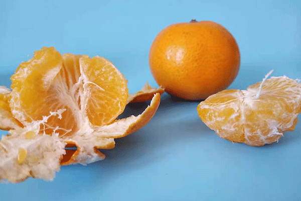 台州公共营养师培训班-费用