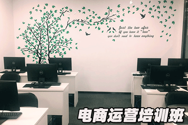 惠州惠城区电商运营培训班  