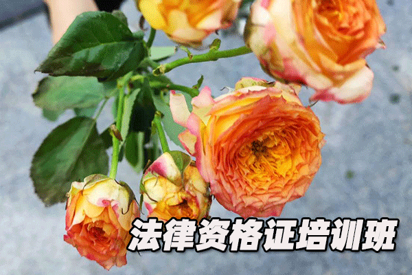 天津滨海新区法律职业资格证考试培训班  