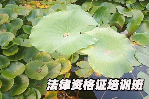 天津南开区法律职业资格证考试培训班