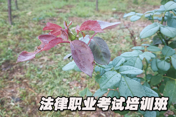 廊坊法律职业资格证考试培训班