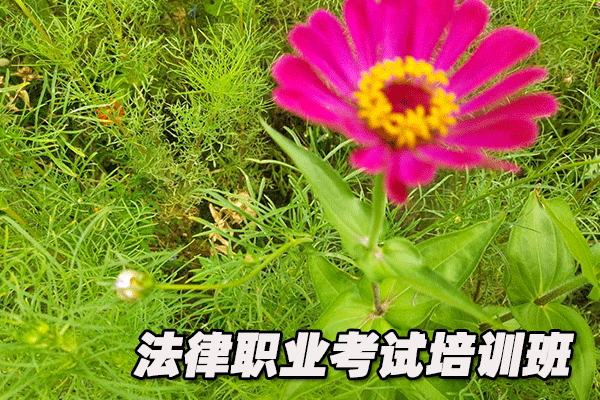 张家口法律职业资格证考试培训班