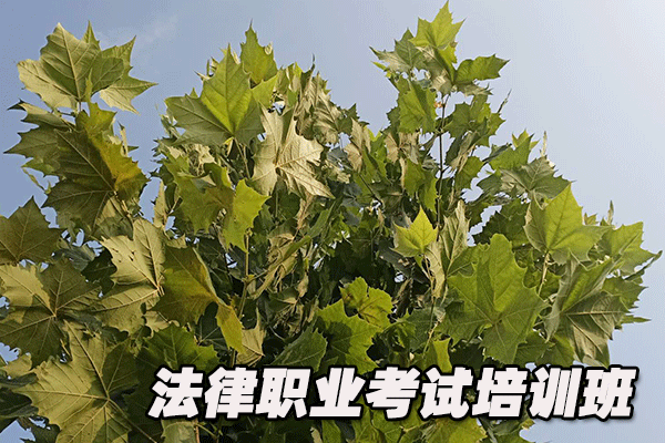 邢台法律职业资格证考试培训班