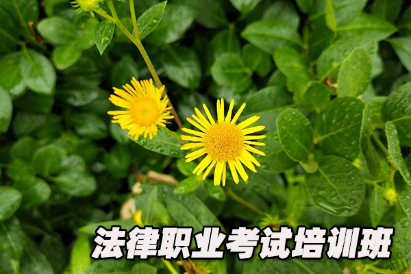 内蒙古法律职业资格证考试培训班