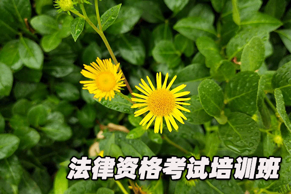 吕梁法律职业资格证考试培训班  