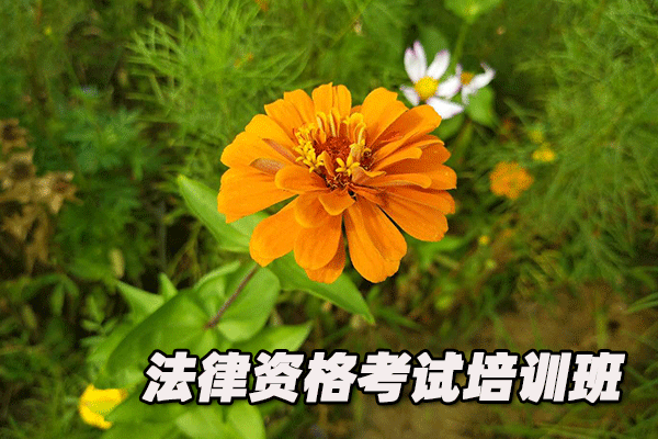 大庆法律职业资格证考试培训班