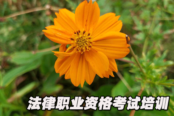 德州法律职业资格证考试培训班