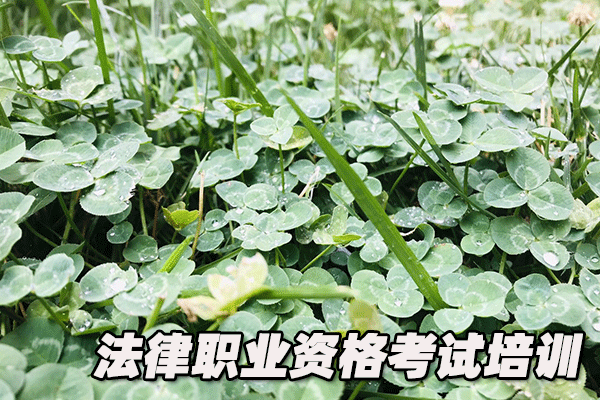 青岛法律职业资格证考试培训班