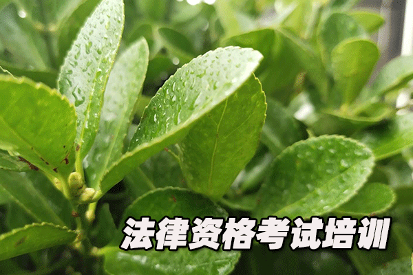 菏泽法律职业资格证考试培训班