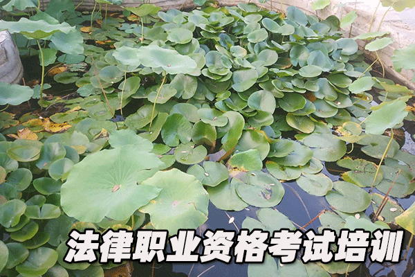 泰安法律职业资格证考试培训班