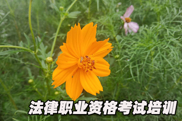 莱芜法律职业资格证考试培训班