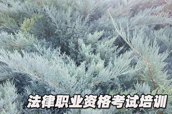 聊城法律职业资格证考试培训班