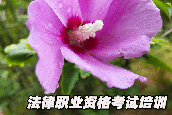 温州法律职业资格证考试培训班