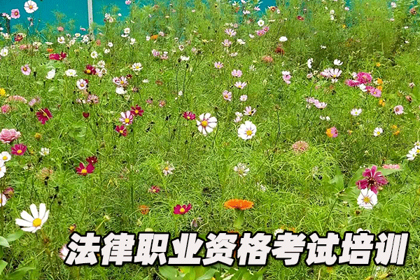 杭州法律职业资格证考试培训班