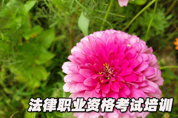 湖州法律职业资格证考试培训班