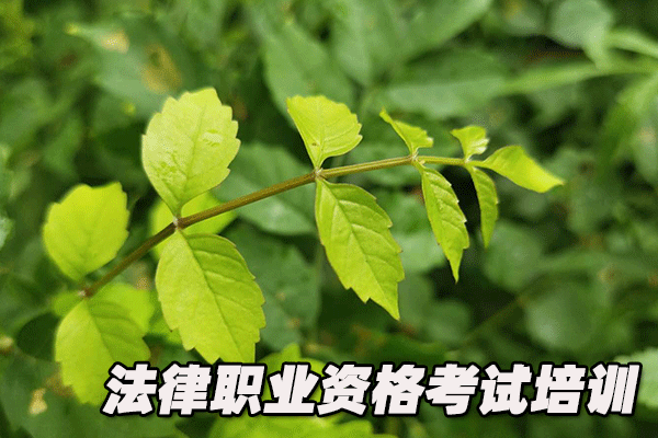 嘉兴法律职业资格证考试培训班