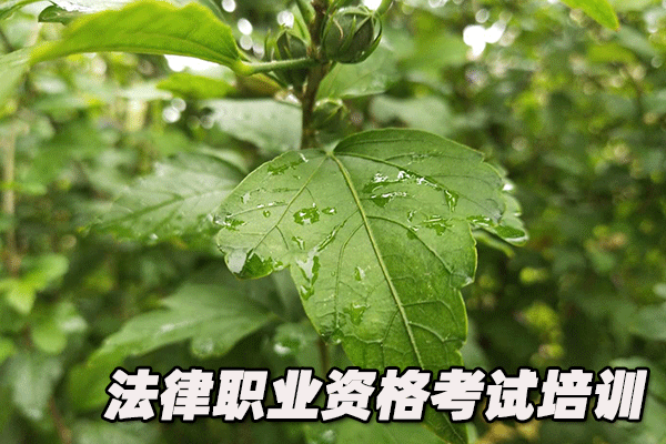 绍兴法律职业资格证考试培训班 