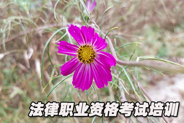 南通法律职业资格证考试培训班