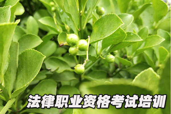 南京法律职业资格证考试培训班
