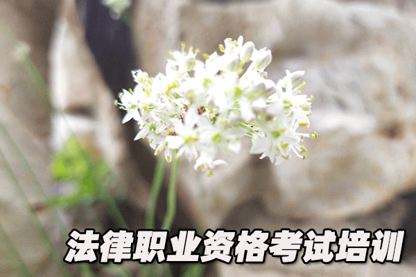 扬州法律职业资格证考试培训班
