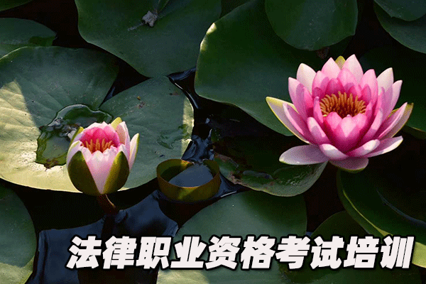 淮安法律职业资格证考试培训班