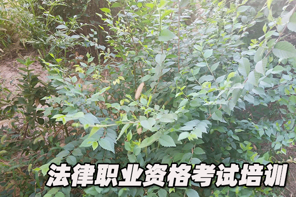 常州法律职业资格证考试培训班