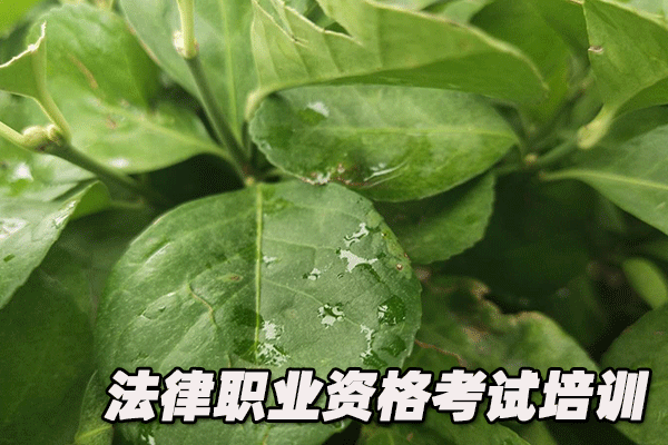 镇江法律职业资格证考试培训班