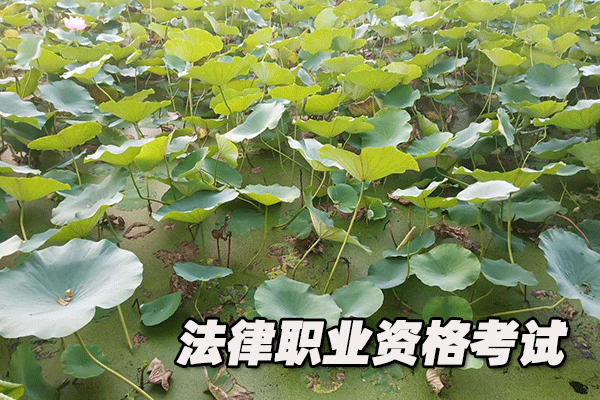 六安法律职业资格证考试培训班  