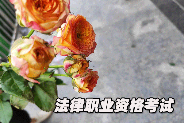 蚌埠法律职业资格证考试培训班  