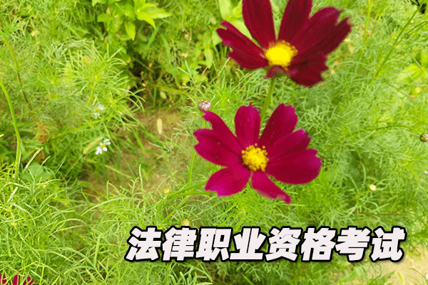上饶法律职业资格证考试培训班