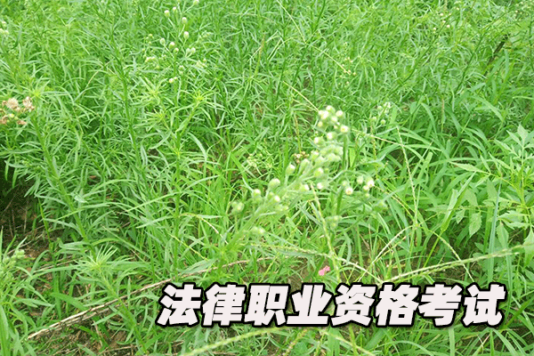 吉安法律职业资格证考试培训班