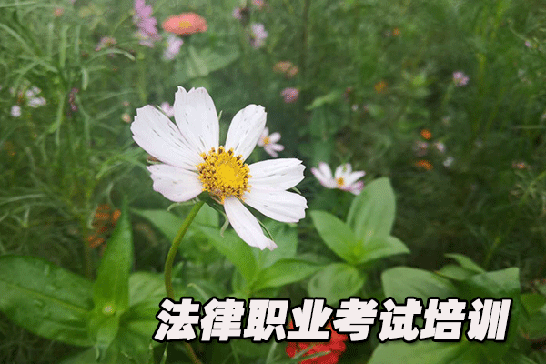 河南法律职业资格证考试培训班