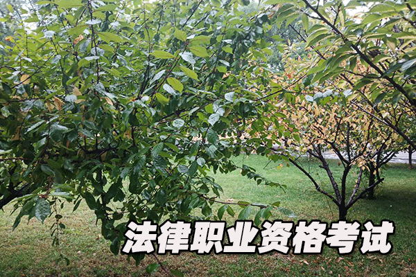 平顶山法律职业资格证考试培训班