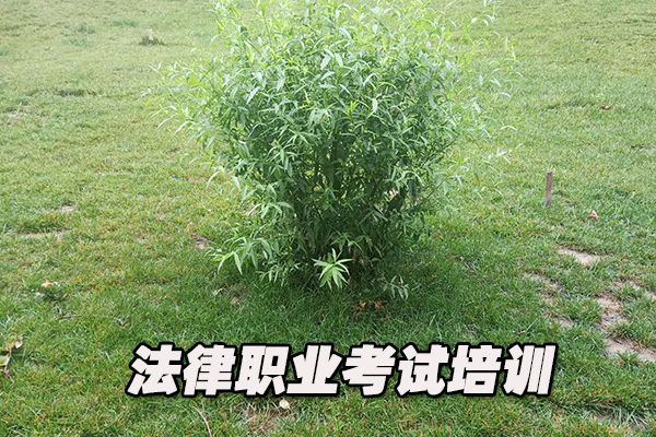 许昌法律职业资格证考试培训班  