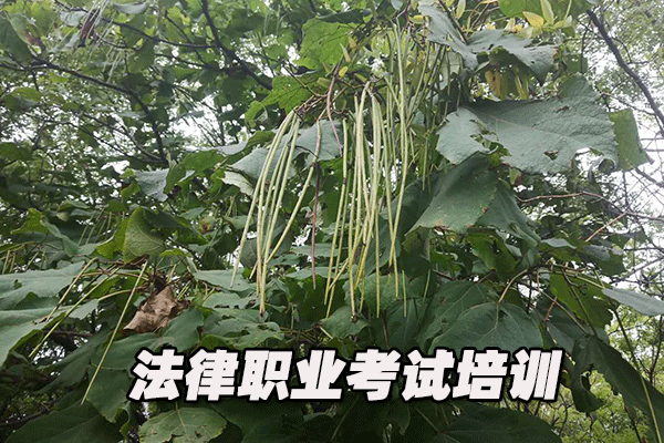 周口法律职业资格证考试培训班