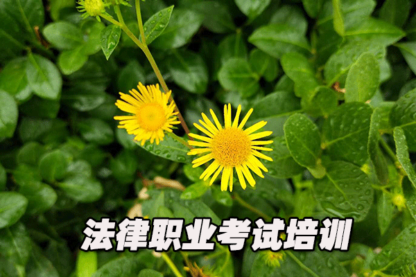 永州法律职业资格证考试培训班