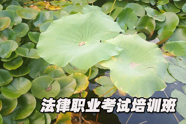 攀枝花法律职业资格证考试培训班