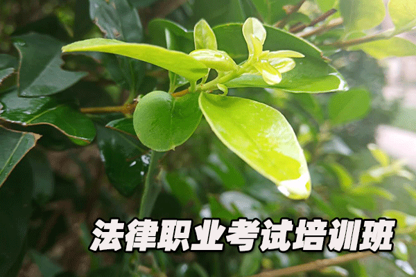 曲靖法律职业资格证考试培训班